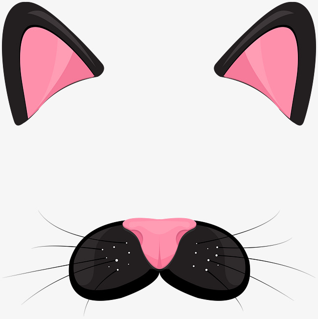 650x652 Cat Png Images, Download 16,228 Png Resources With Transparent