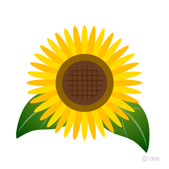 540x540 Free Simple Sunflower Clip Art Cartoon Amp Clipart