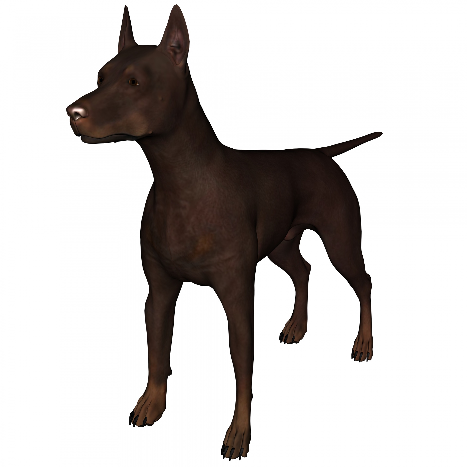 1920x1920 Simple Line Drawing Of A Dog