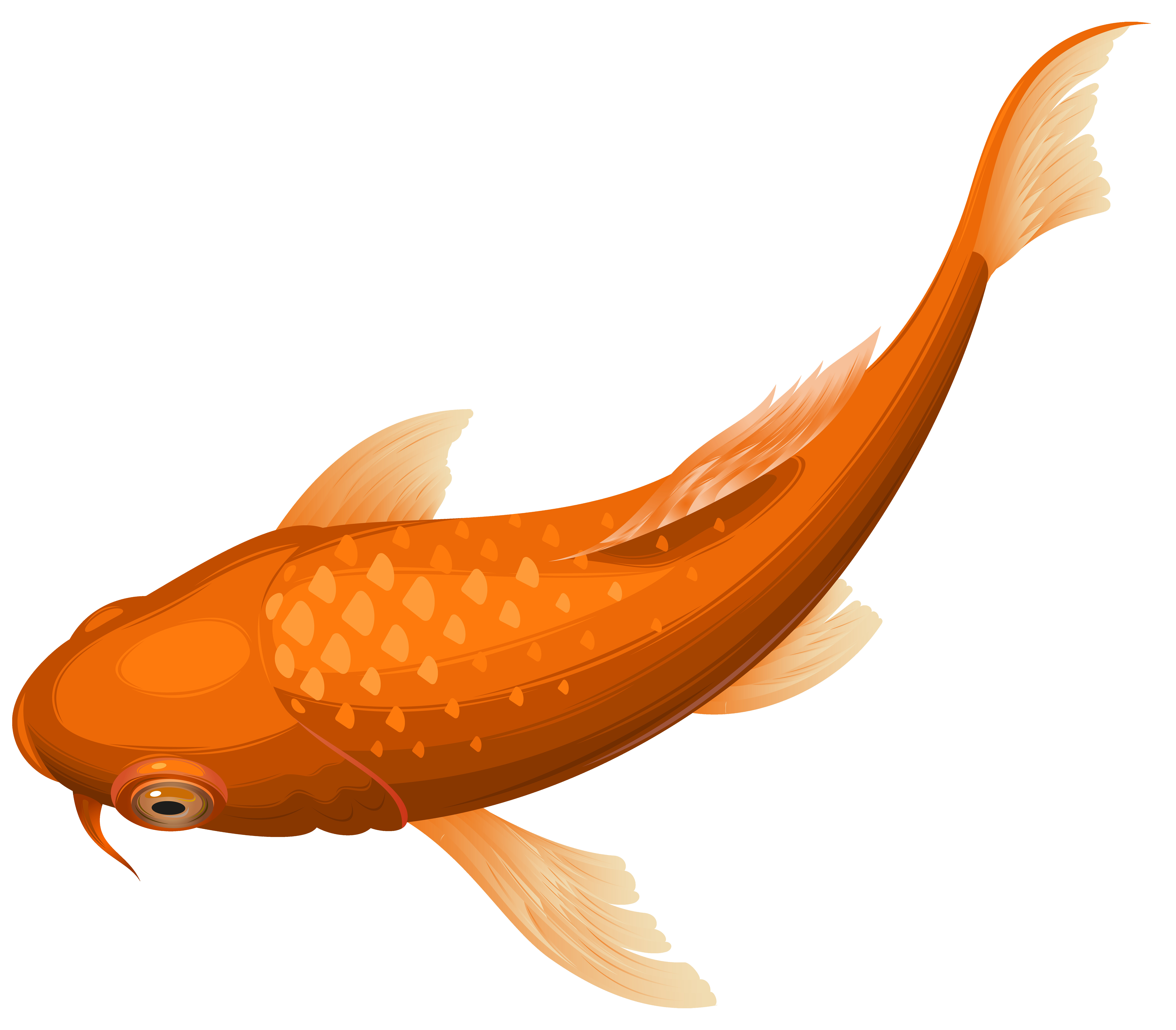 8000x7007 Orange Fish Clipart