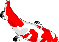 210x150 Clip Art Koi Fish Clip Art