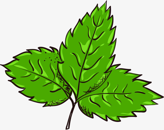 650x513 Green Hand Painted Plants, Green Plants, Simple Leaves, Decorative