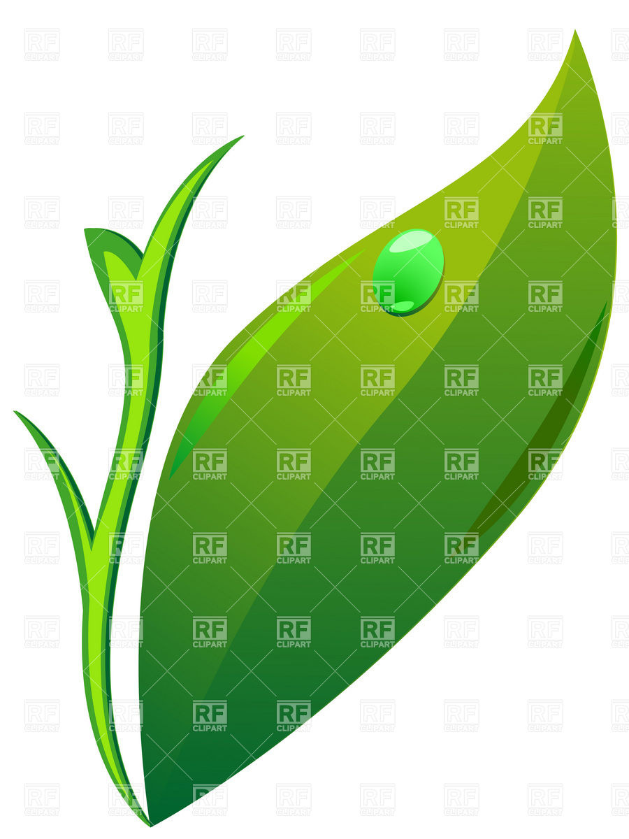 900x1200 Simple Green Leaf Royalty Free Vector Clip Art Image