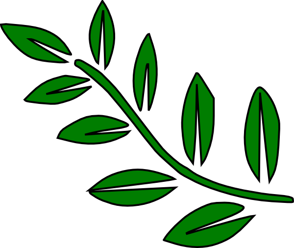 600x506 Simple Twig With Leaves Clipart Best Pattern Design