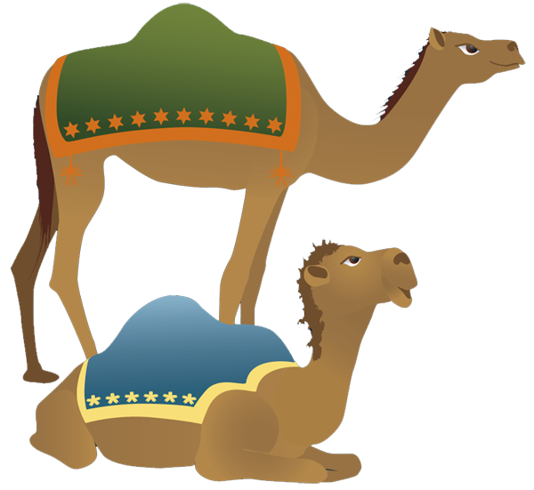 600x551 Camels Clipart Nativity Character