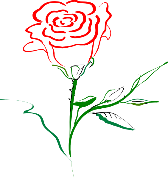 564x598 Simple Rose Outline Clipart