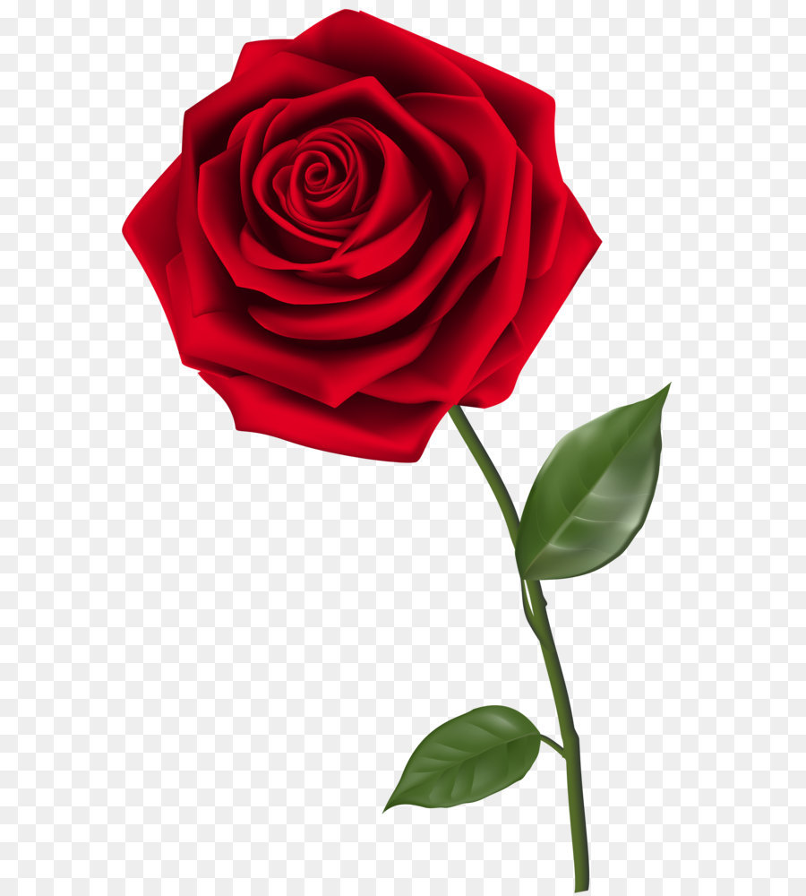 900x1000 Rose Clip Art