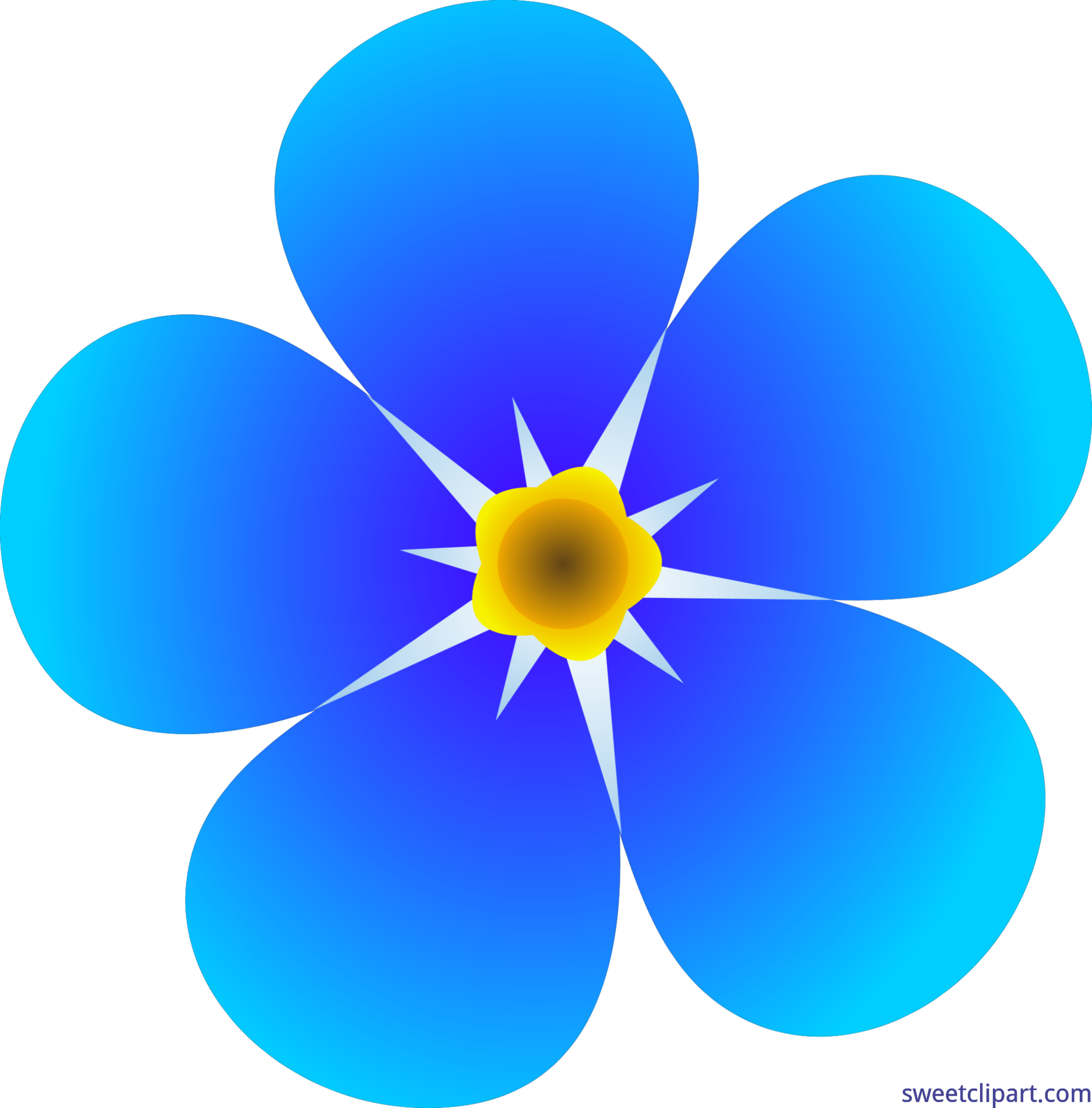 5874x5959 Single Forget Me Not Flower Clip Art