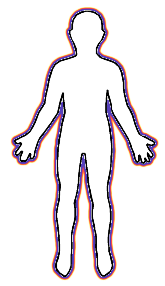 550x950 Human Body Clip Art