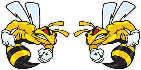 466x234 Ski Doo Angry Bee Large Pairs Decal 12 Each Fast