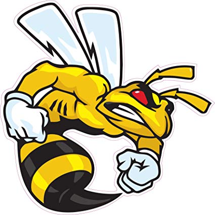 425x426 Ski Doo Angry Bee Decal 5 From The United States