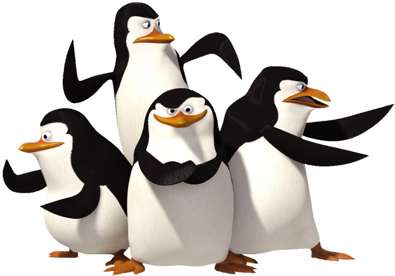 800x560 Madagascar (Characters, Penguins)