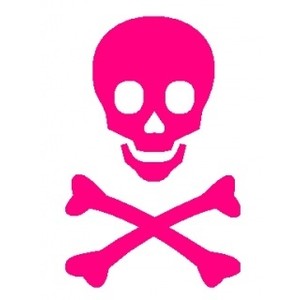 300x300 Skull Clipart Pink