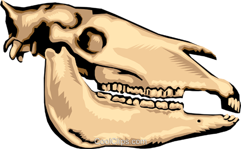 480x297 Animal Skull Royalty Free Vector Clip Art Illustration Anim1382