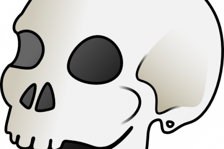 450x300 Skeleton Clipart Skeleton Face