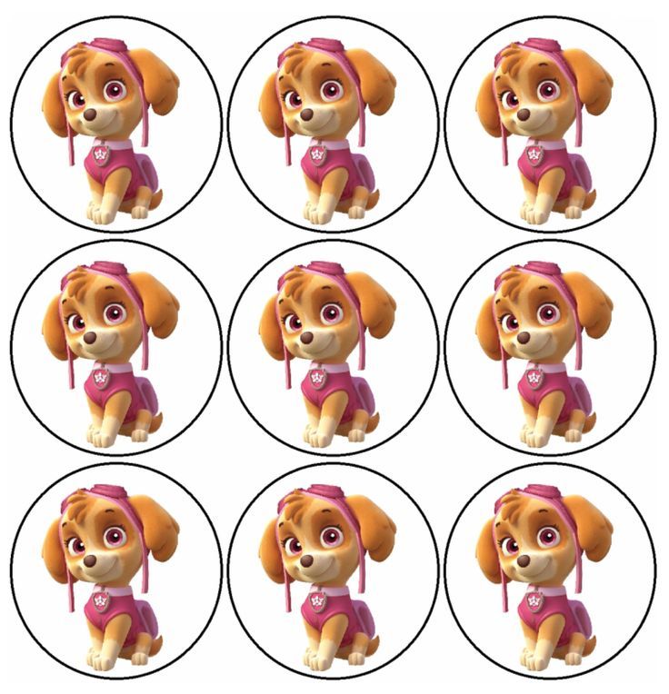 736x764 Free Printable Mini Kit Of Skye From Paw Patrol. Bottlecaps