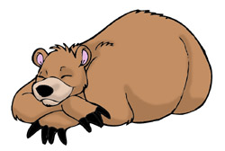 250x168 Sleeping Bear Clipart Desktop Backgrounds
