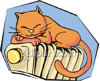 350x282 Kitten Sleeping On A Radiator