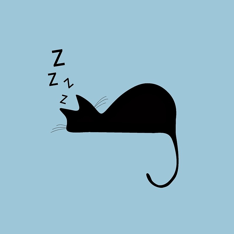800x800 Sleeping Cat Silhouette Free Download Clip Art