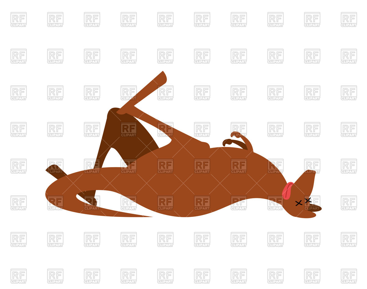 1200x946 Dead Kangaroo