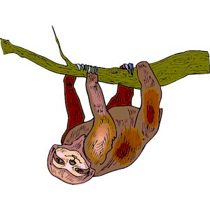 300x300 Sloth Clipart Sign
