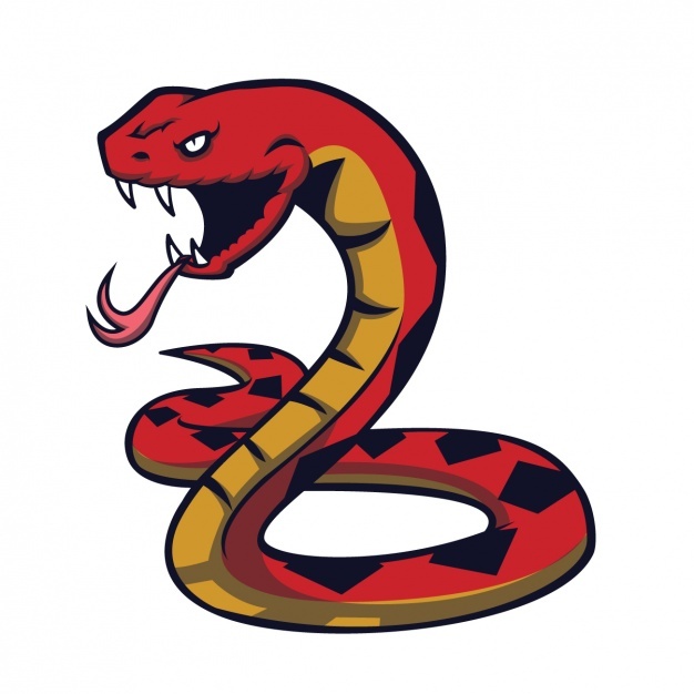 626x626 Snake Vectors, Photos And Psd Files Free Download