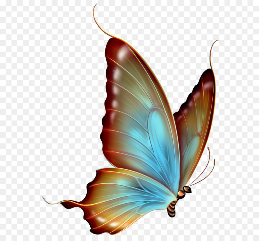 900x840 Butterfly Clip Art