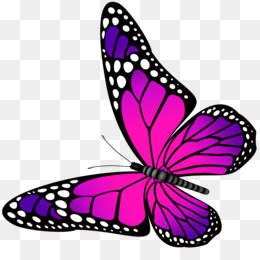 260x260 Butterfly Clip Art