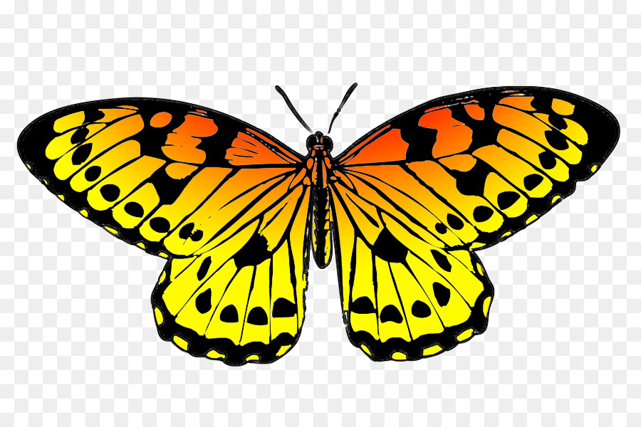 900x600 Monarch Butterfly Drawing Black Clip Art