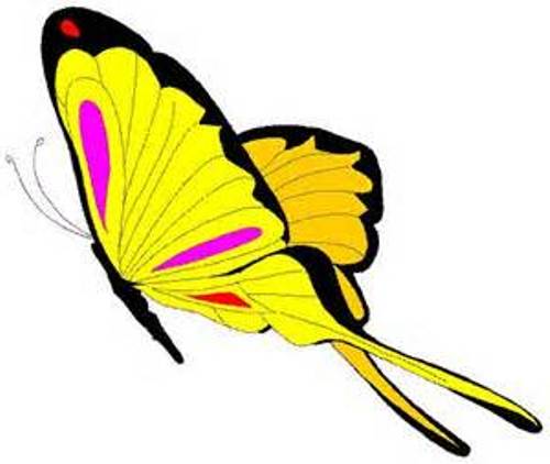500x422 Butterflies Clipart, Suggestions For Butterflies Clipart, Download