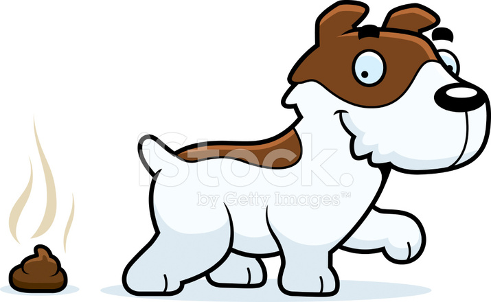 715x440 Jack Russell Terrier Clipart Small Dog