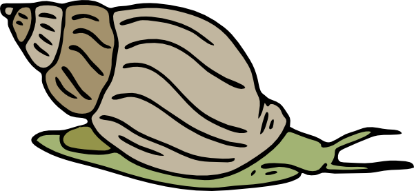 600x277 Green Snail Clip Art
