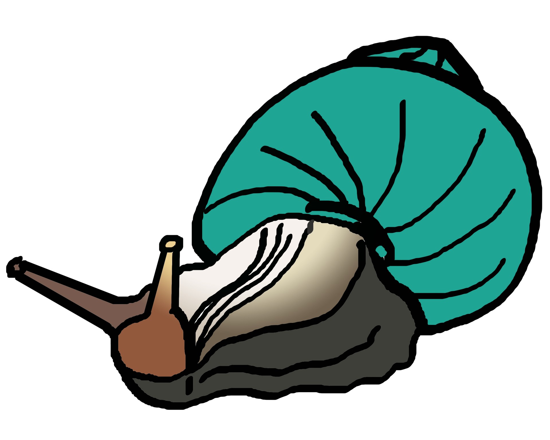 1920x1536 Snail Illustration Free Stock Photo