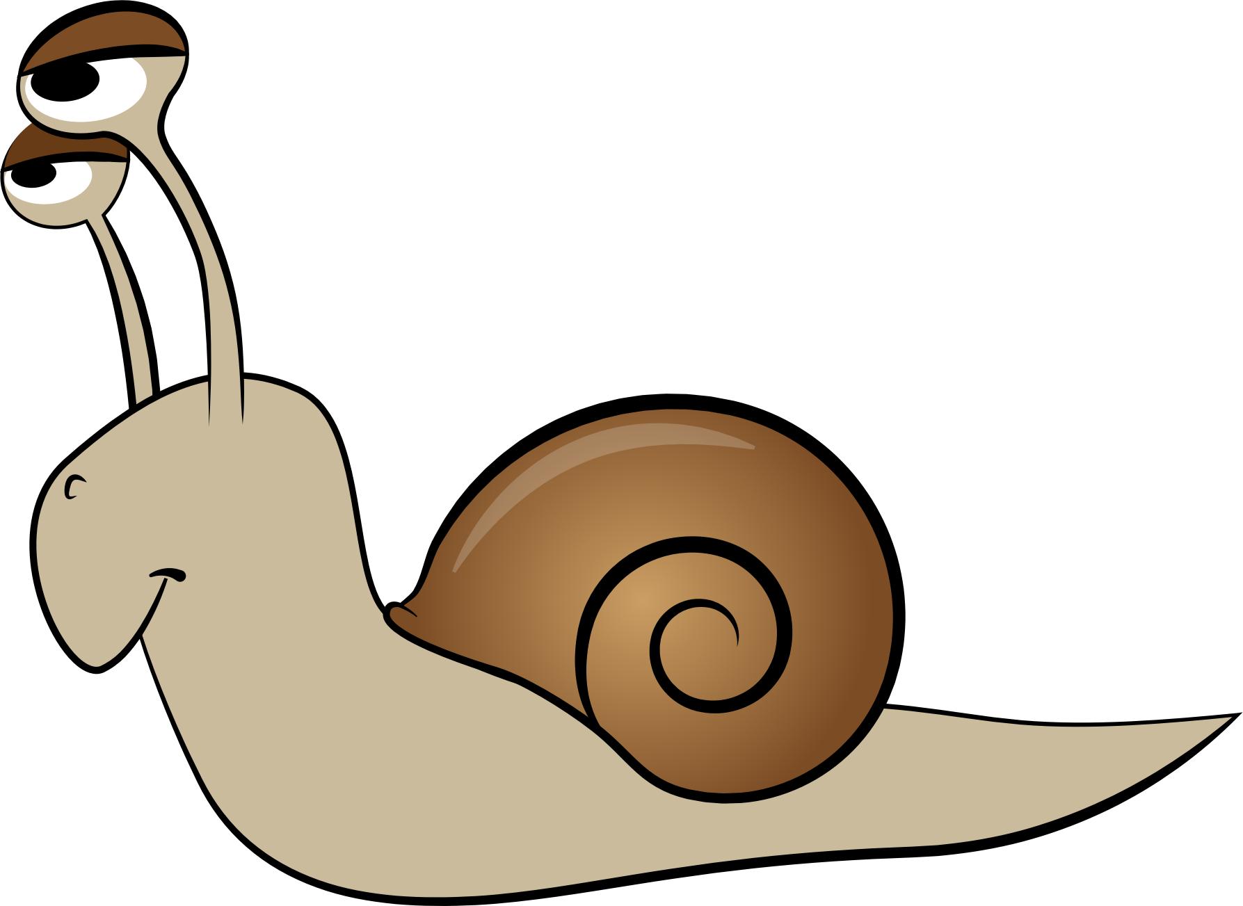 1787x1303 Cartoon Snail Art Icons Png