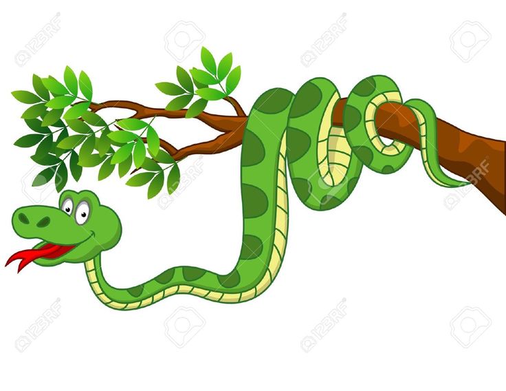 736x568 100 Best Cartoon Snakes Images On Snake, Snakes