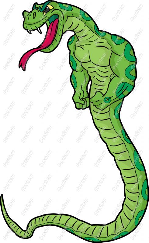 490x800 Snake Clip Art