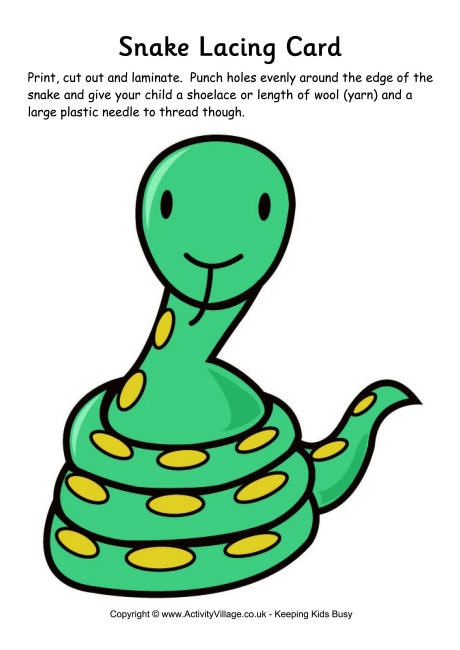 460x650 Snake Lacing Card 3