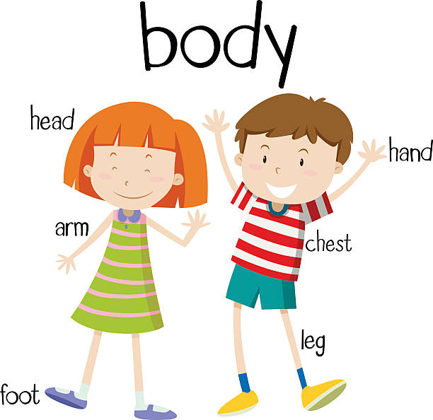 612x594 Human Body Clipart For Kids 15385493 Cartoon Boy And Girl