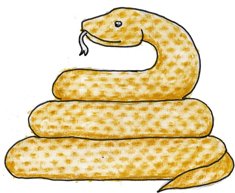 916x756 Art Projects For Kids Draw A Snake With Texture Animal Art