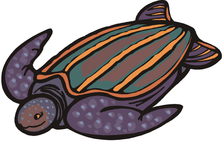 750x481 Free Turtle Clipart