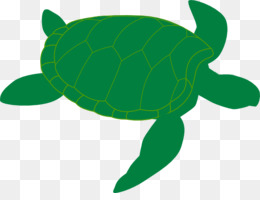 260x200 Green Sea Turtle Clip Art