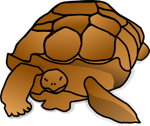 300x253 Turtle Cartoon Clip Art