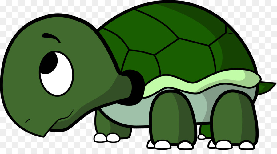 900x500 Turtle Cartoon Drawing Clip Art