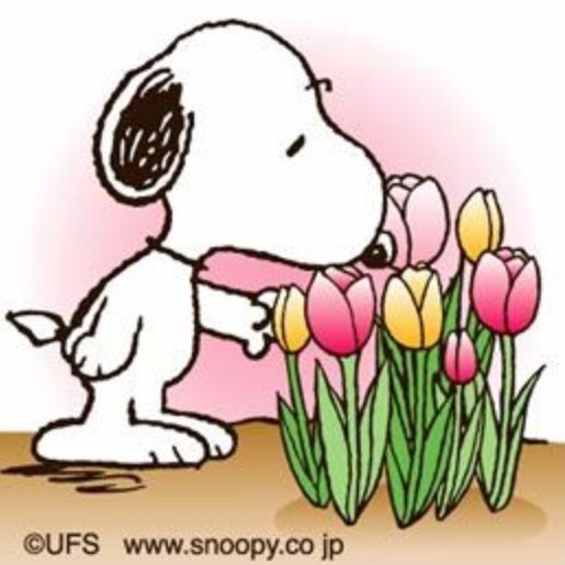 515x515 Snoopy Spring Flowers