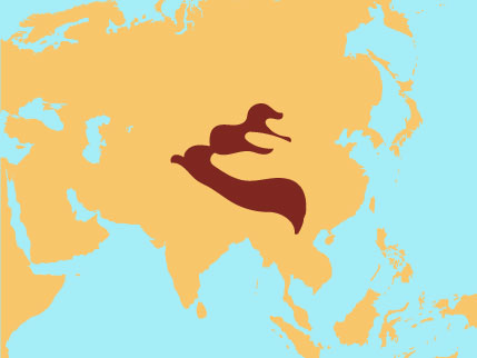 429x322 Snow Leopard Mogo Zoo