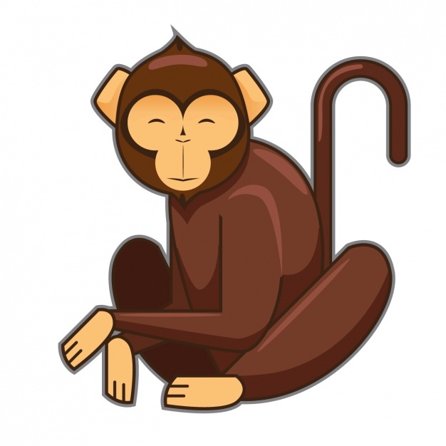 626x626 Monkey Vectors, Photos And Psd Files Free Download