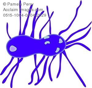 300x287 Clip Art Image Of Common Soil Clipart Panda