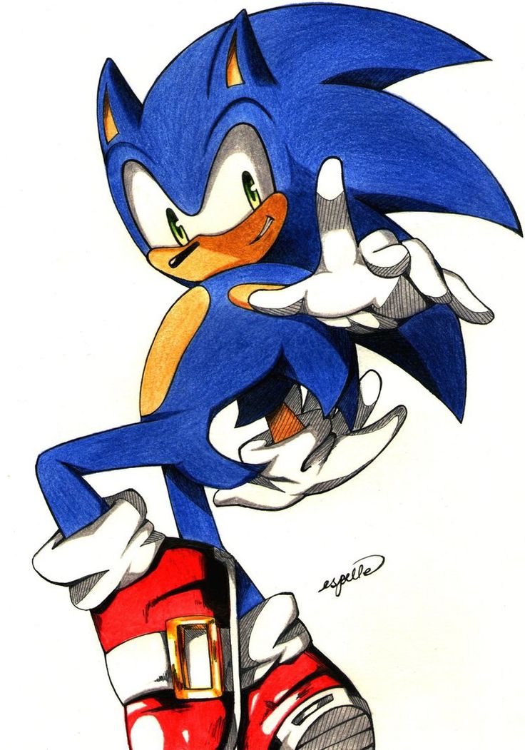 Sonic The Hedgehog Clipart at GetDrawings | Free download