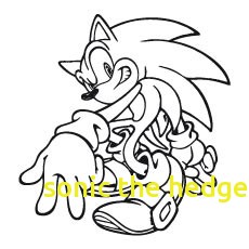 230x230 Sonic The Hedgehog Coloring Pages With Sonic The Hedgehog Walking