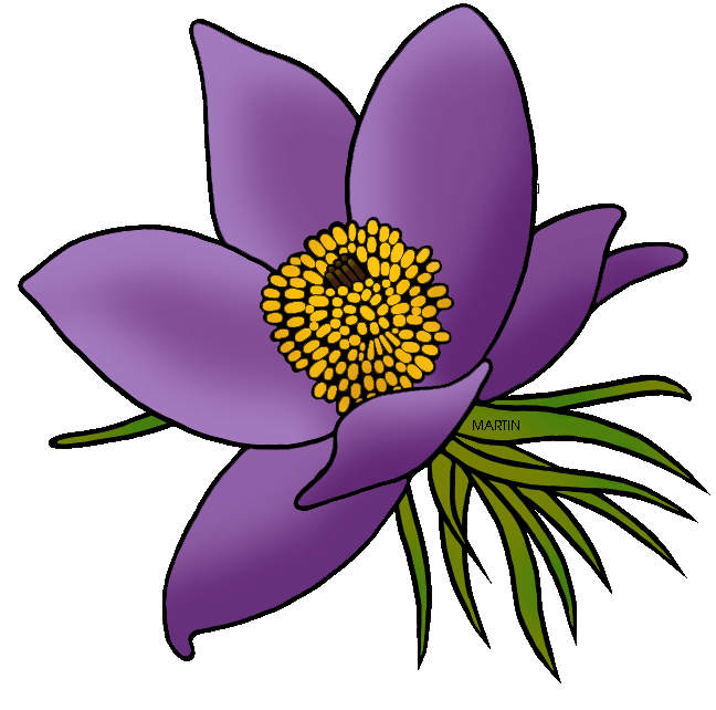 648x642 Flowers Clip Art By Phillip Martin, Pasque Flower